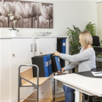 Raamatukäru 900x300x920 mm